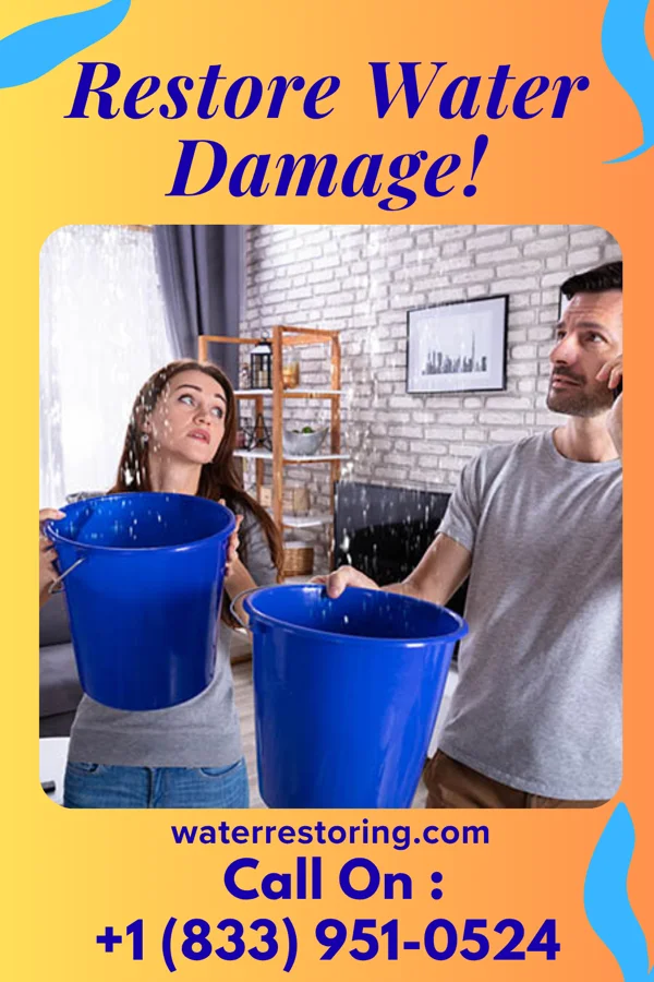 water restoration Lightning Damage Recovery Partners Greenville
